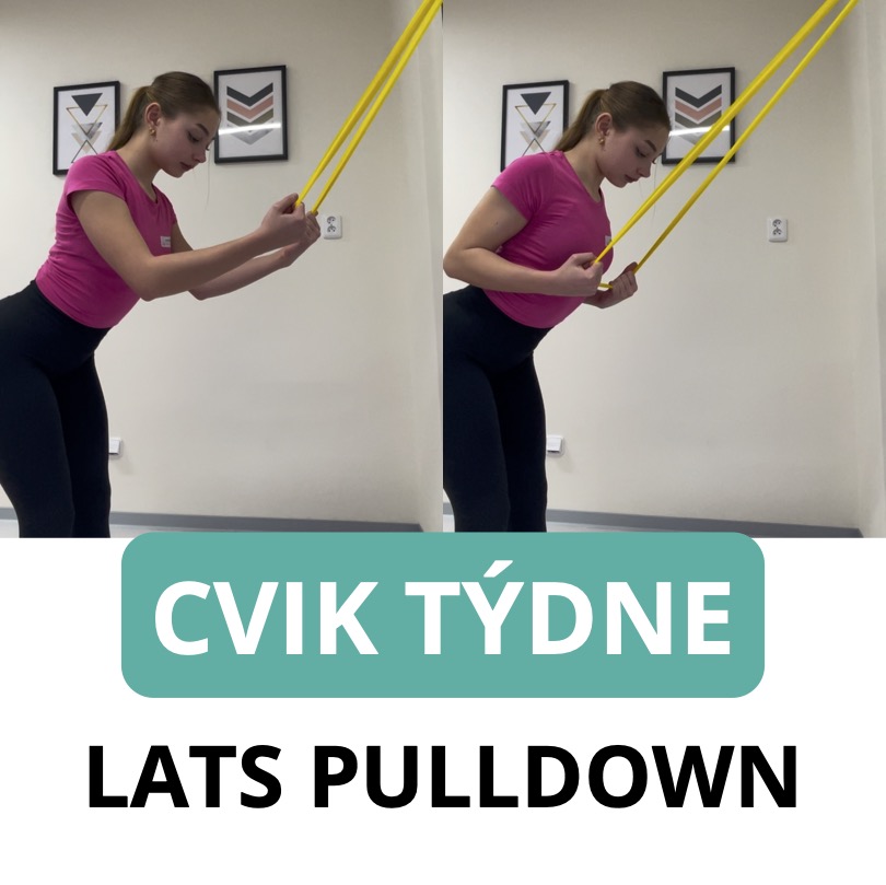 Lats Pulldowns